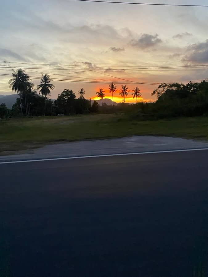 Sunset through palms, southern Thailand