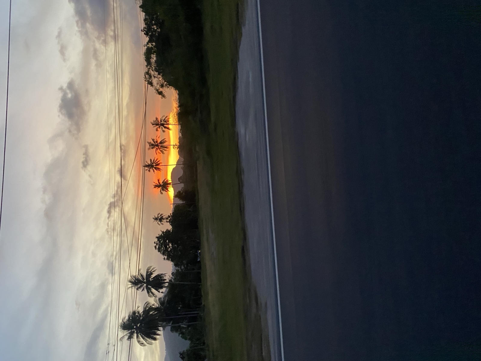 Sunset through palms, southern Thailand