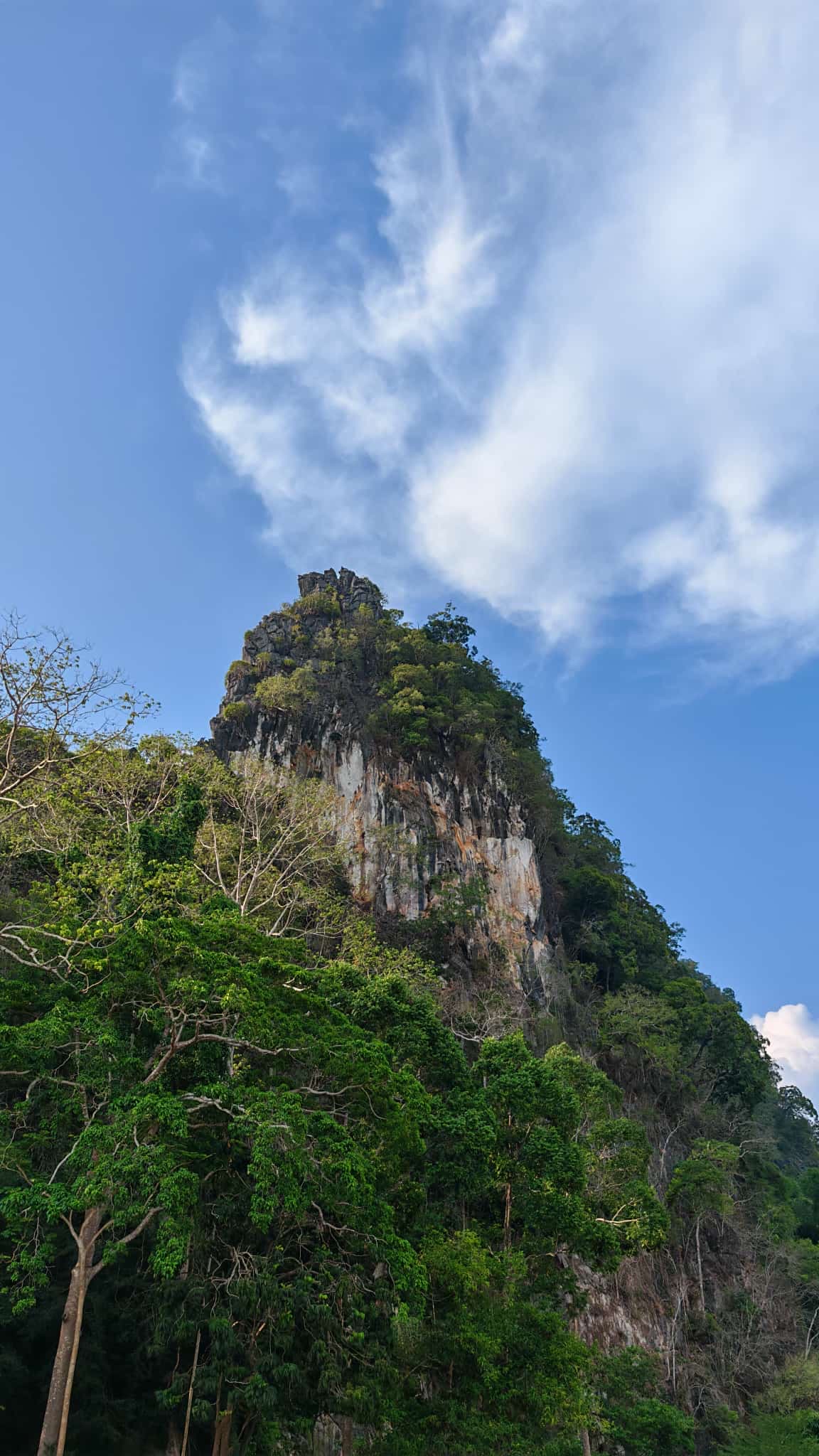 A sharp limestone karst pinnacle rising over the Khao Sok jungle