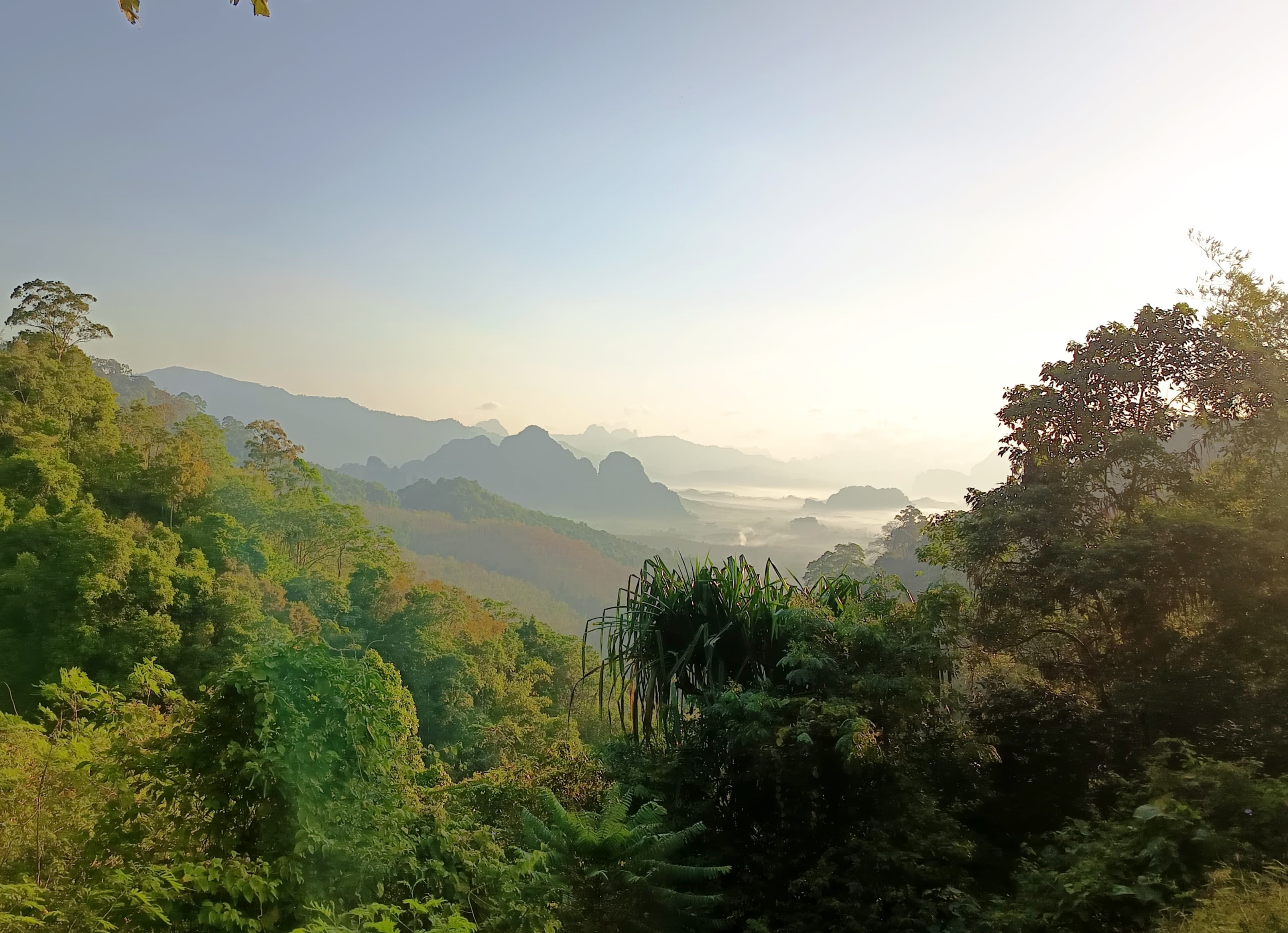 A misty Khao Sok valley and karst ridgeline at golden dawn
