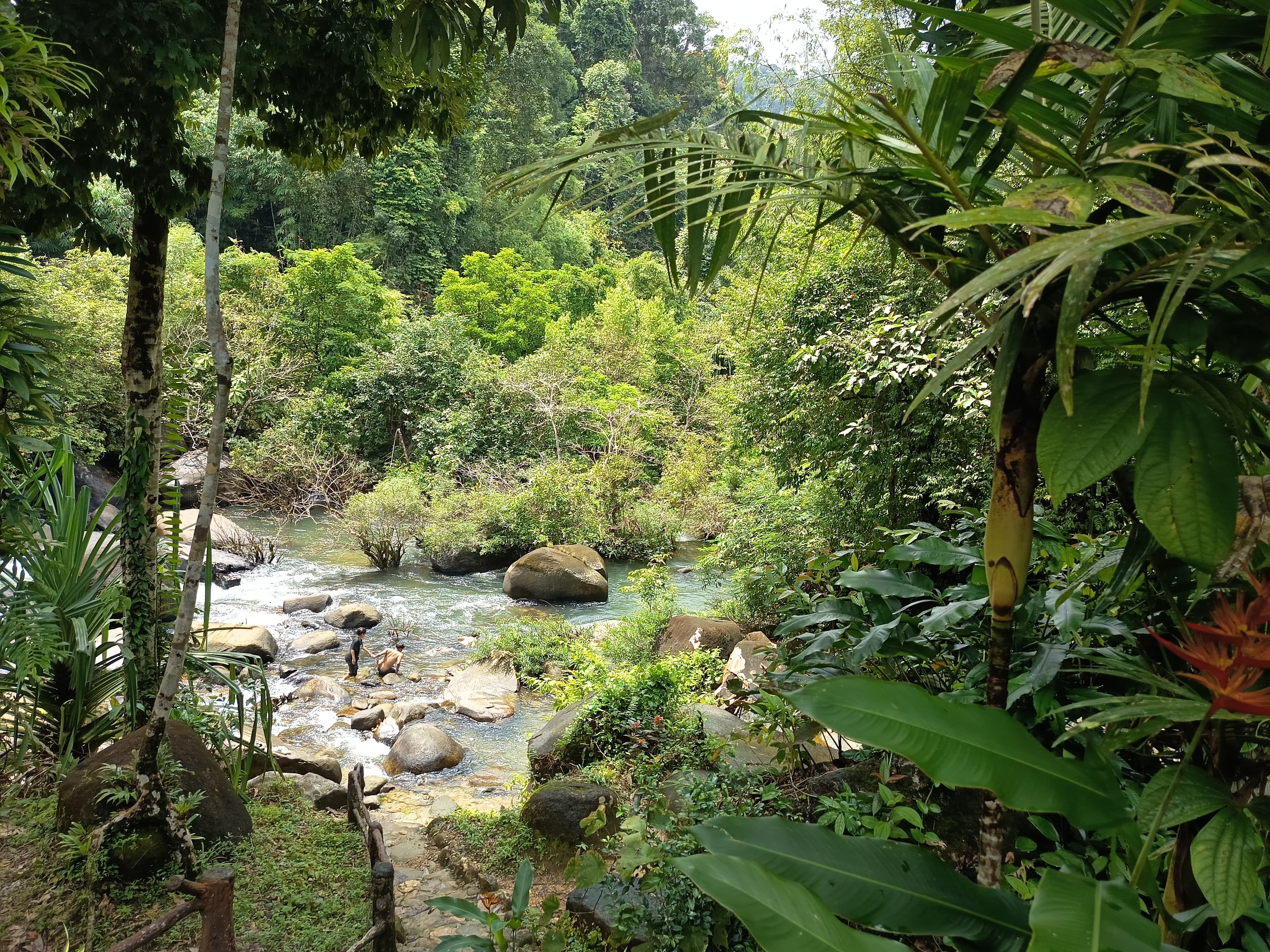 A rocky jungle stream in the rainforest of the Khao Sok corridor behind Khao Lak
