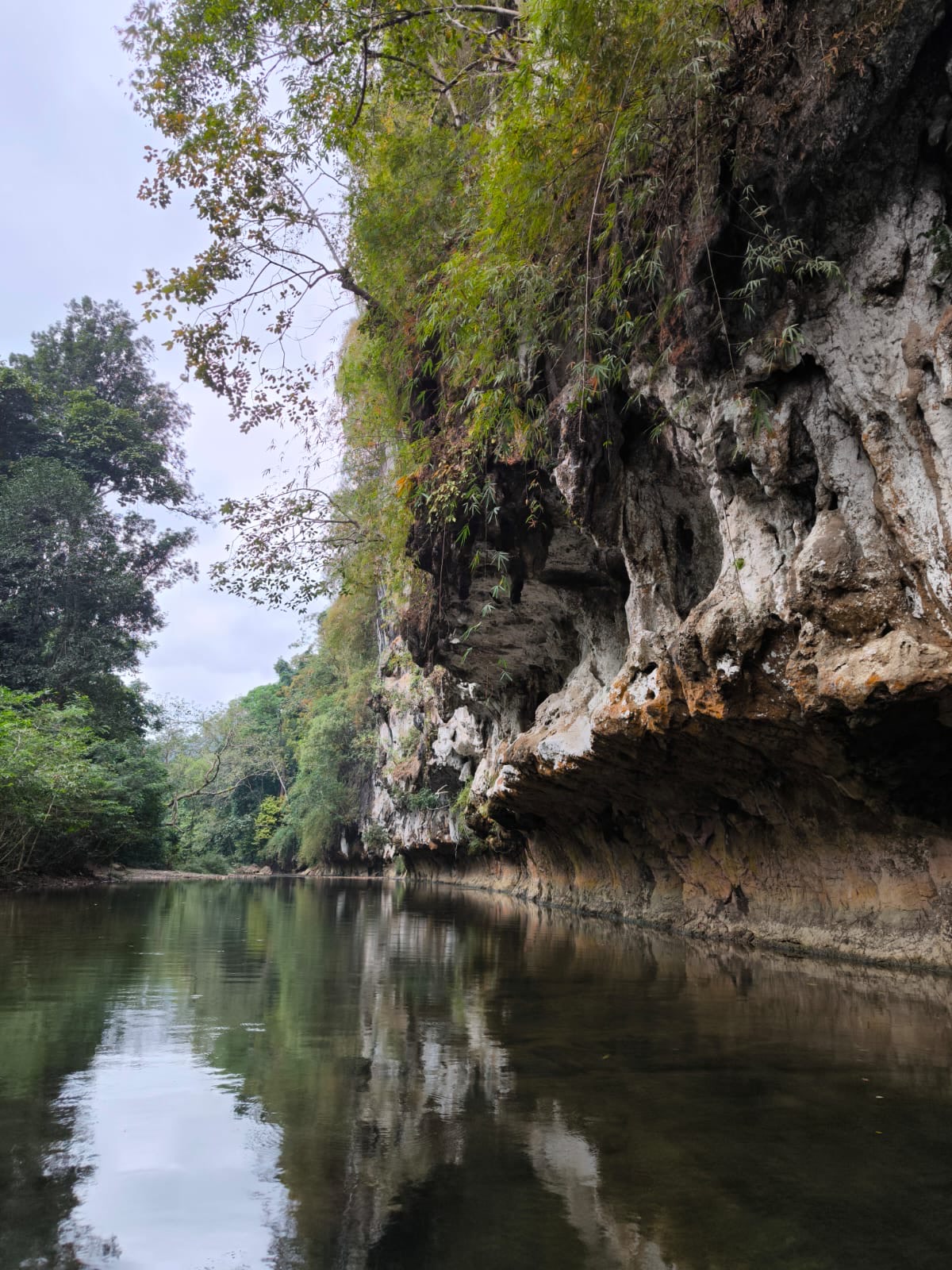 A serene green channel of the Sok River between karst walls