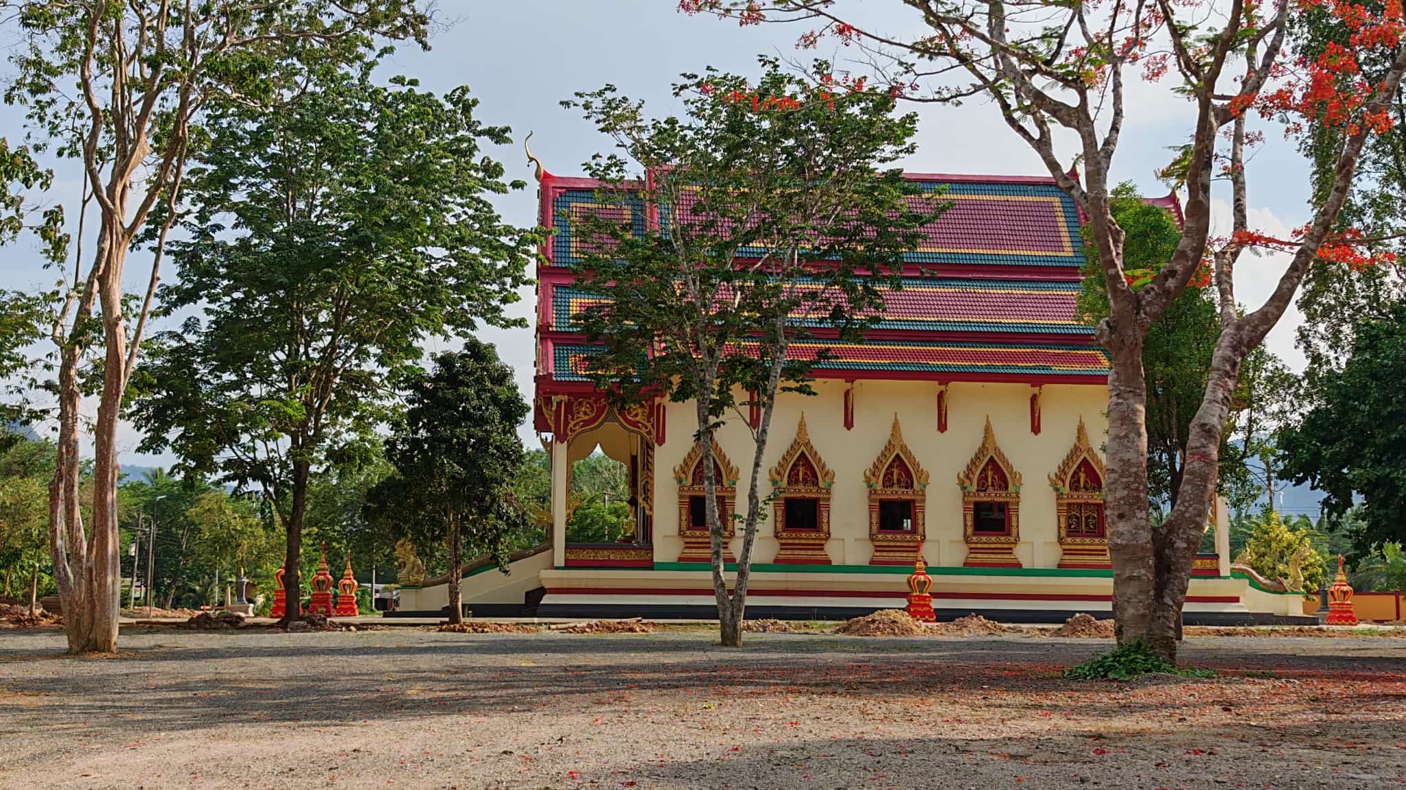The temple exterior framed by a flame tree in bloom