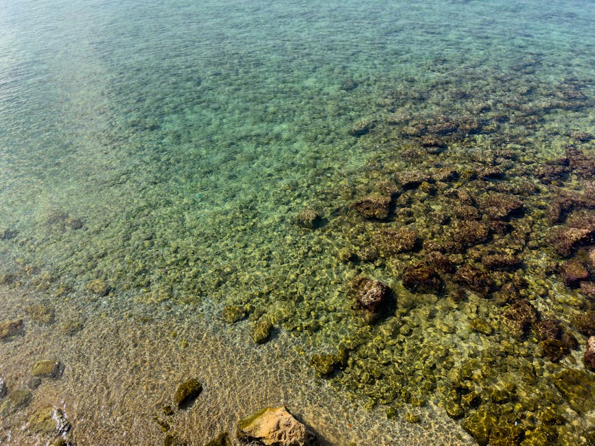 Shallow reef visible from a Phuket shore